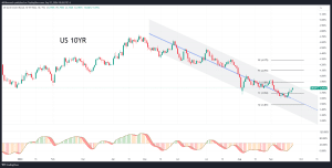 What Does Accounting Basis Points Mean
